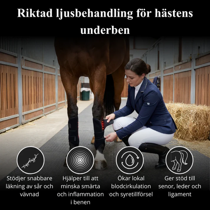 EquiThera K2 - Rödljusterapi Damasker