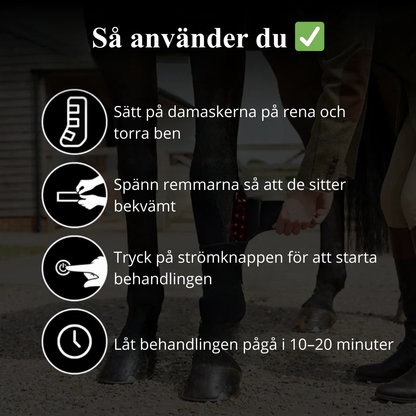 EquiThera K2 - Rödljusterapi Damasker