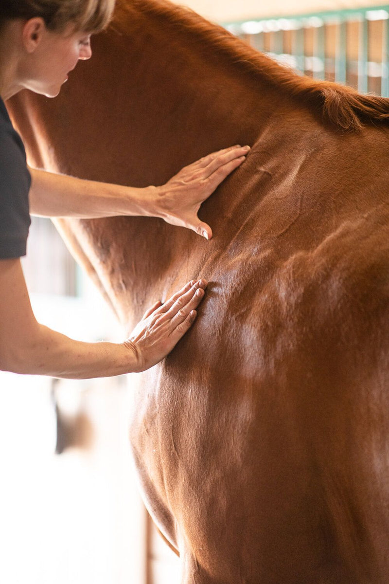 #2 Dyra Professionella Behandlingar Räcker Inte