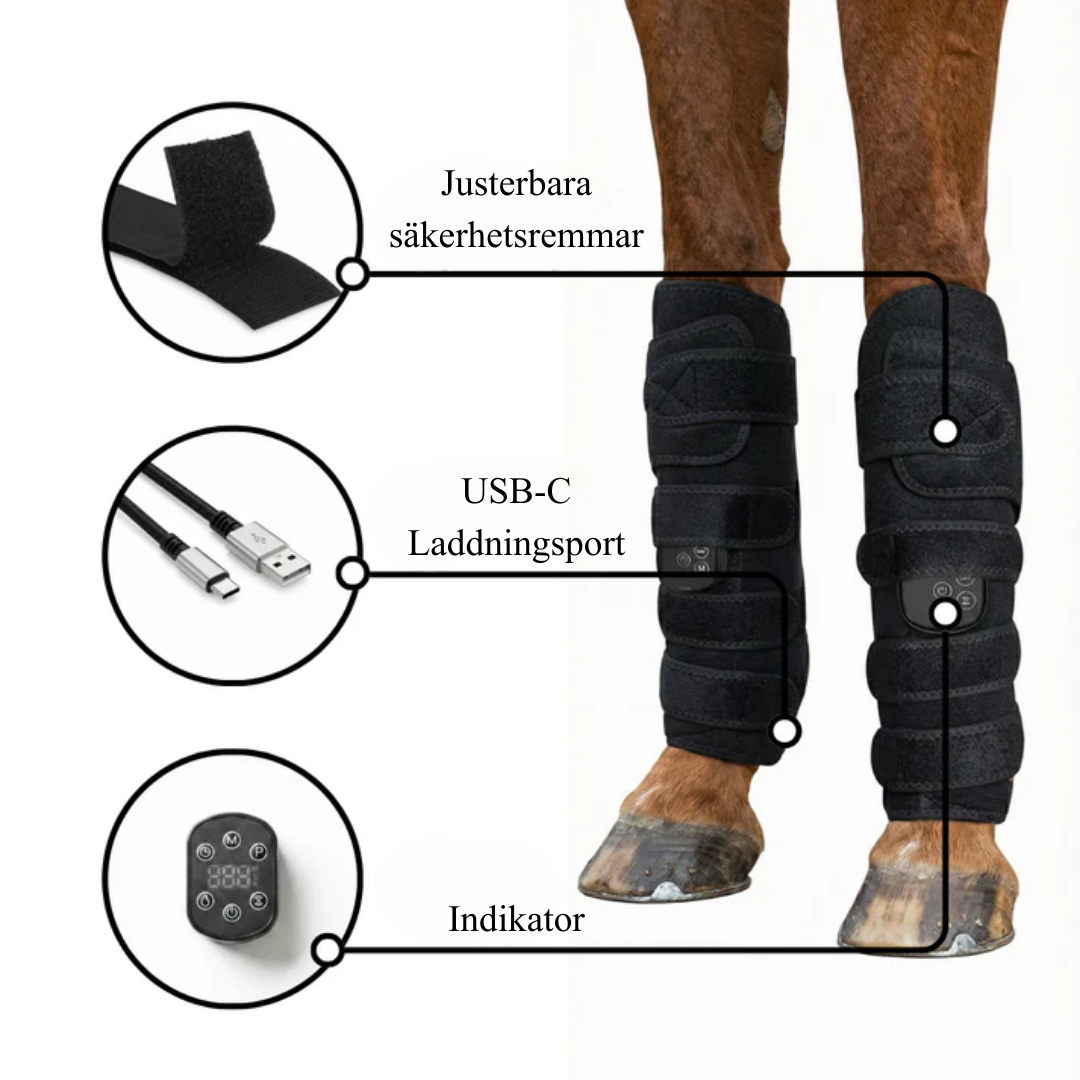 EquiThera K2 - Rödljusterapi Damasker