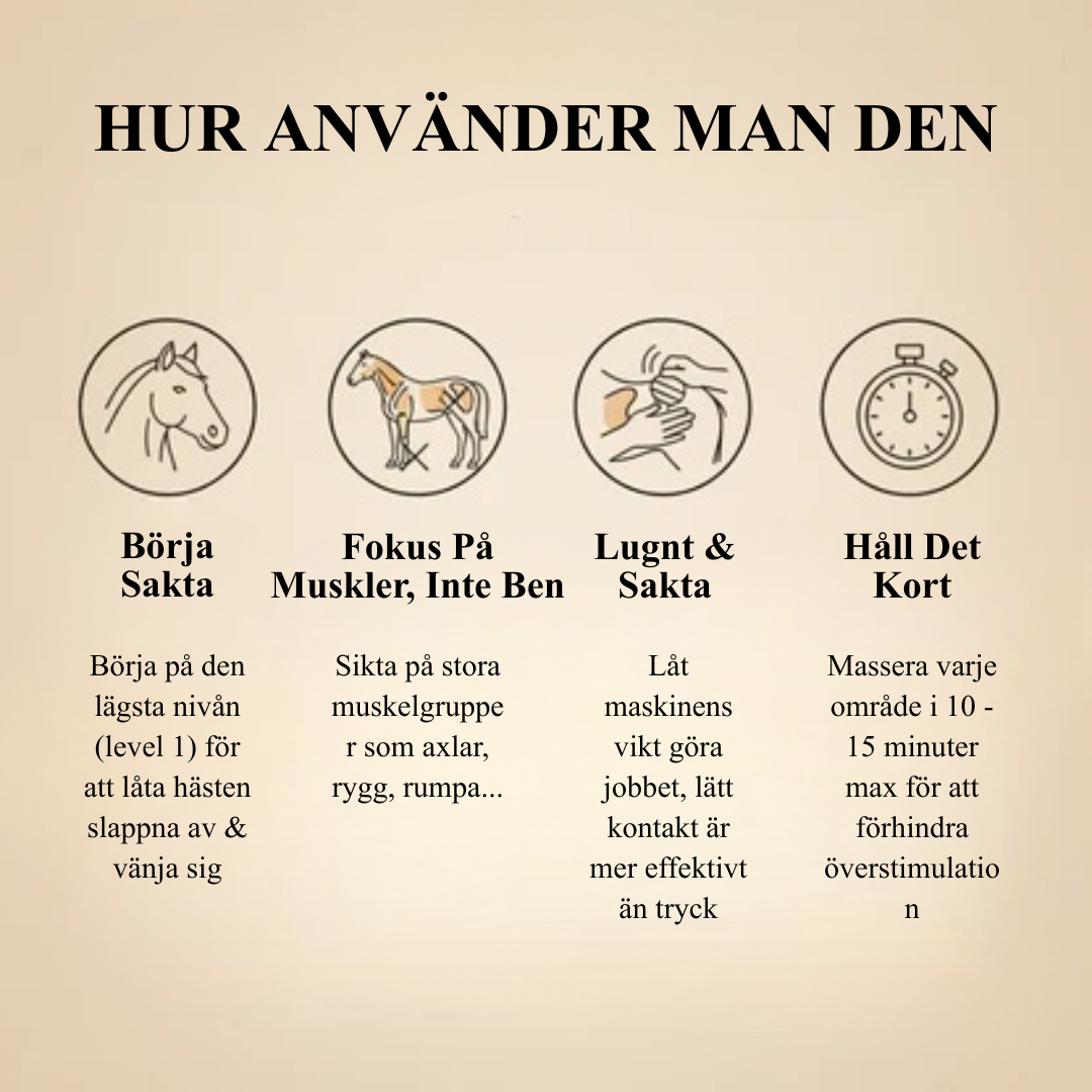 EquiThera Pro – 8-huvuds rödljus massage