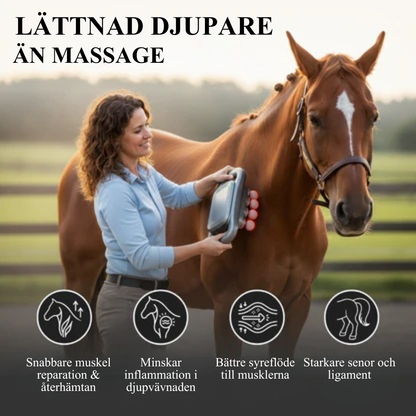 EquiThera Pro – 8-huvuds rödljus massage