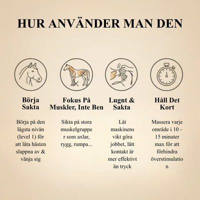 EquiThera Pro – 8-huvuds rödljus massage