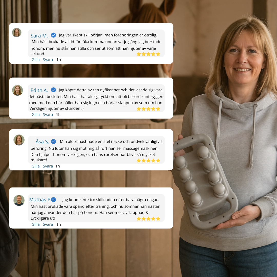 EquiThera Pro – 8-huvuds rödljus massage