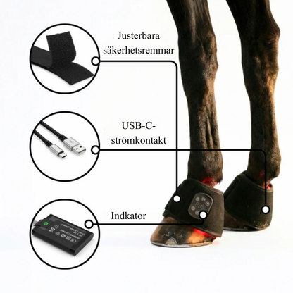 EquiThera K1 Boots - Rödljusterapi