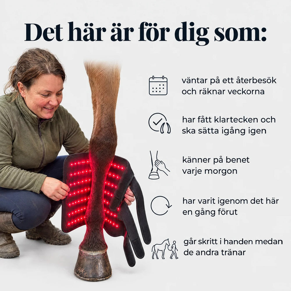 Det här är för dig som har en häst i rehab