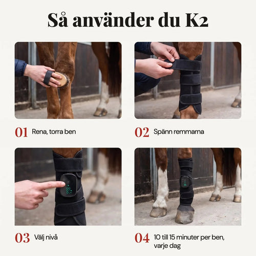 EquiThera K2 — Så senan får rätt stöd att läka på djupet
