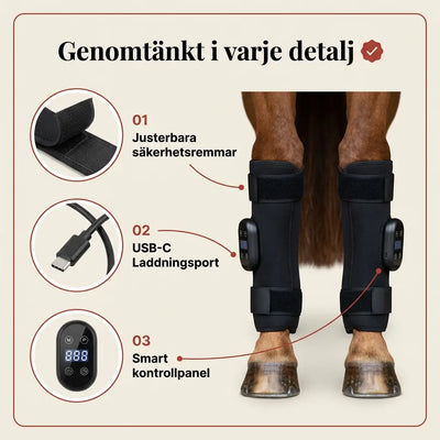 EquiThera K2 — Daglig Rödljusdamask För Morgonstela Veteraner