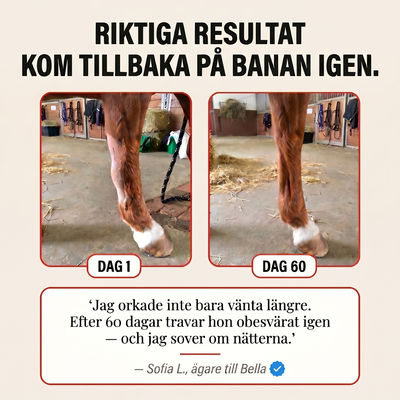 EquiThera K2 — Daglig Rödljusdamask För Morgonstela Veteraner